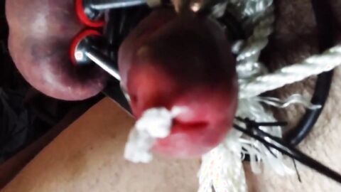 Stainless Tube CBT, Ball Clamps & Super Glue - Gay BDSM