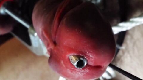 Stainless Tube CBT, Ball Clamps & Super Glue - Gay BDSM