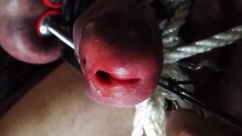 Stainless Tube CBT, Ball Clamps & Super Glue - Gay BDSM