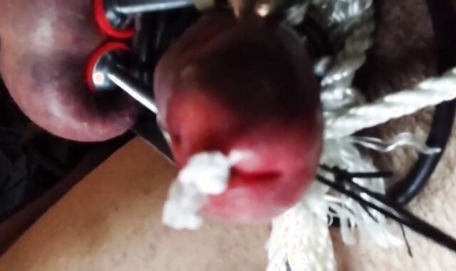 Stainless Tube CBT, Ball Clamps & Super Glue - Gay BDSM