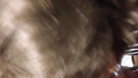 Public Restroom Blowjob with a Crossdresser