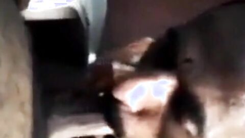 Grandpa Sucks Indian Amateur