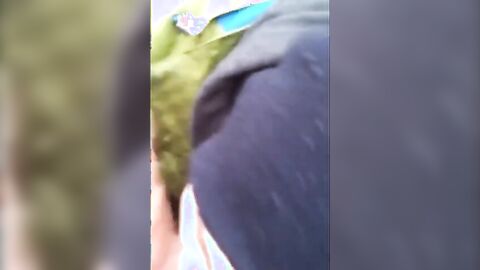 Big-Cock Twink Sucks Outdoors