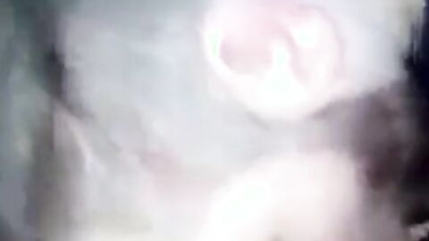 Fat Outdoor Amateur Blowjob
