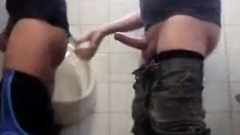 Bareback Amateur Anal in the Bathroom