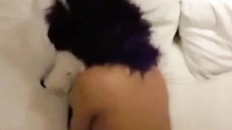 Femboy Bareback Creamed Adventure