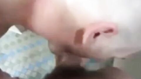 Locker Room Blowjob