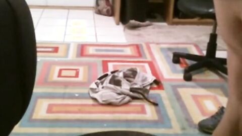 Fat Daddy Strips and Strokes on Webcam