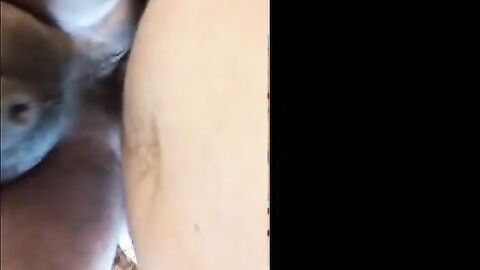 Bareback Bear Pounding