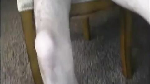 Monster Latin Cock Masturbating