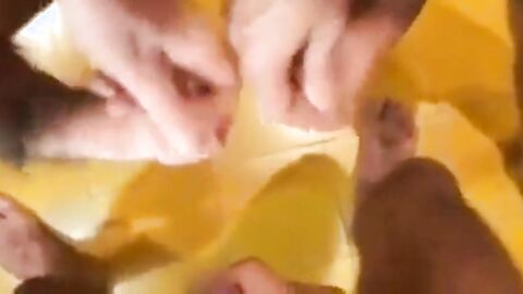 French Gay Group Masturbation Orgy