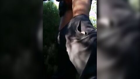 Old Daddies Bareback in the Great Outdoors