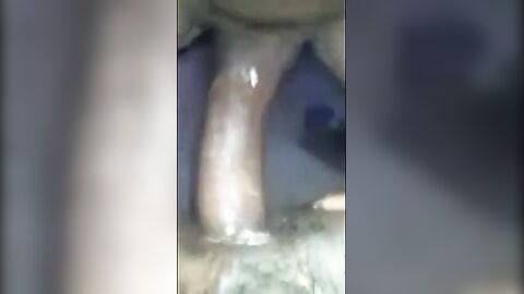 Black Bareback Amateur Takes Big Cock