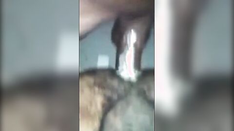 Black Bareback Amateur Takes Big Cock