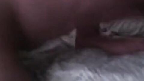 Rough Bareback Fuck: Daddy Dominates Young Lad