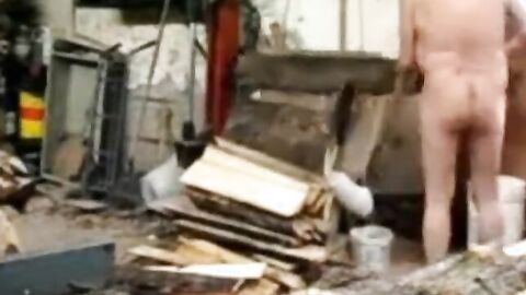 Silver Fox Strokes Wood at the Sawmill