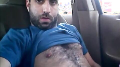Osito peludo se divierte en el coche