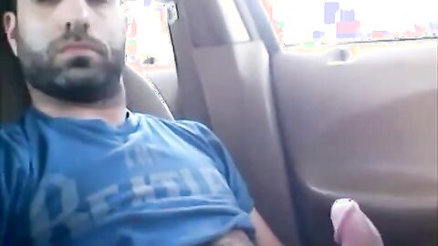 Osito peludo se divierte en el coche