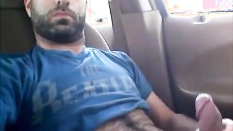 Osito peludo se divierte en el coche