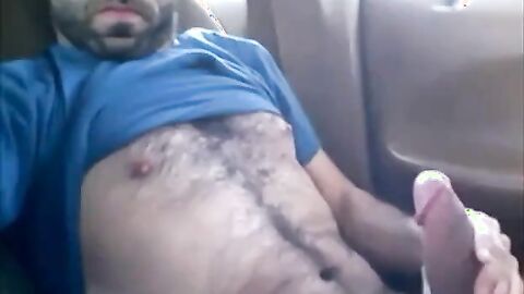 Osito peludo se divierte en el coche
