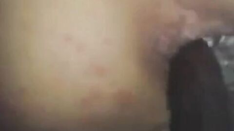 Black Bareback Amateur Interracial