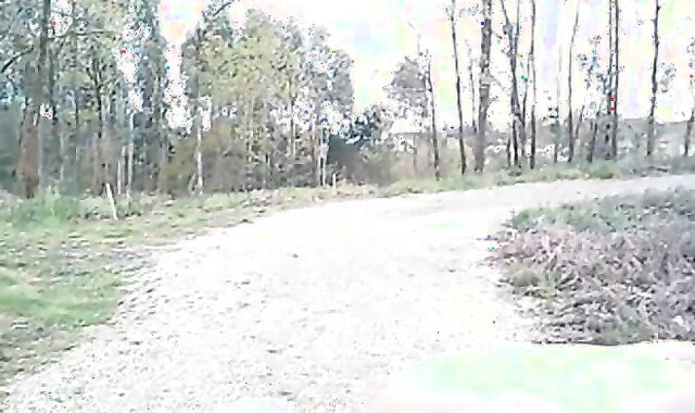Portuguese Bear Strips and Shows His Big Cock