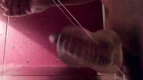 Muscular Daddy's Huge Cum Moan