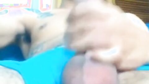 Big-Cock Latin Twink Shows Off on Webcam