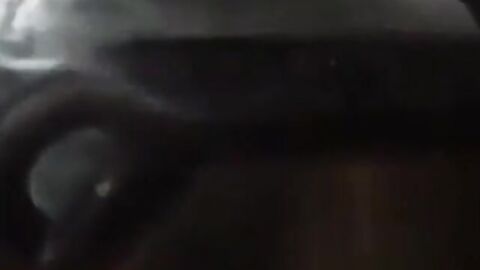 Helping Hand on the Bus with a Big Cock
