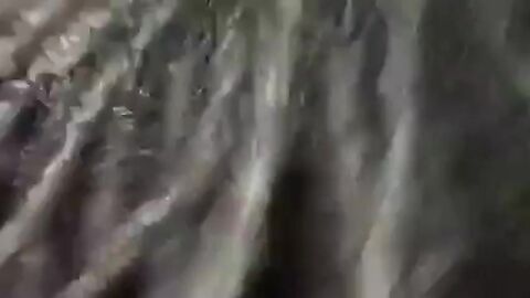Fat Gay Amateur Sucks a Big Black Cock