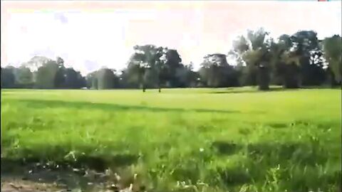 Big Black Cocks Outdoors
