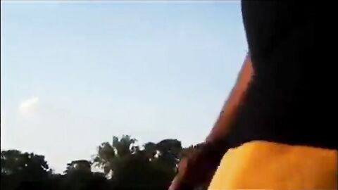 Big Black Cocks Outdoors