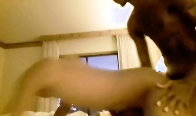 Big Black Cocks Bareback