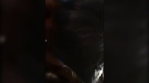 Sissy's Fun with a Black Cock