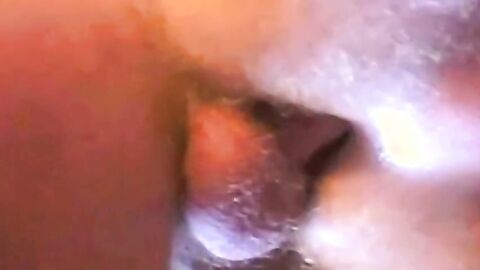 Bareback Fun: Cum,Lick,Repeat