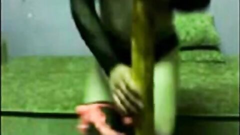 Bareback Blowjob with Turkish Crossdresser Hasret