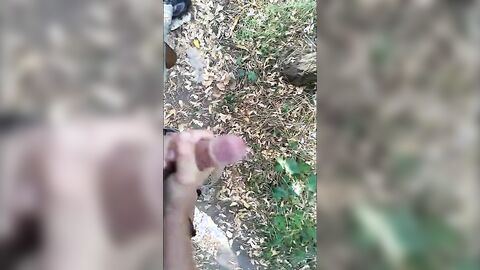 Hand Relief in the Park