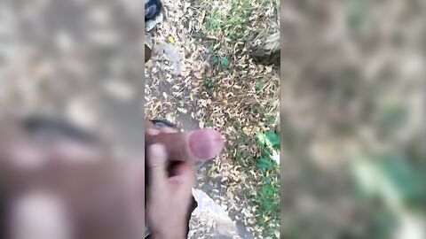 Hand Relief in the Park