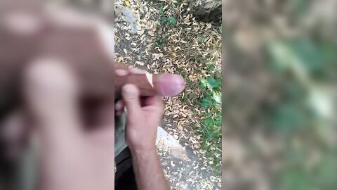 Hand Relief in the Park