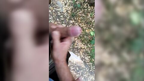Hand Relief in the Park
