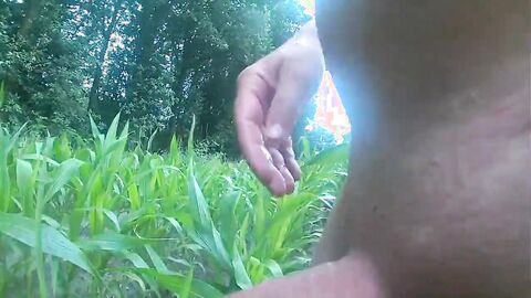 Outdoor Masturbation in Cornfield & Woods