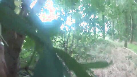 Outdoor Masturbation in Cornfield & Woods