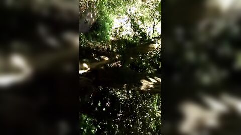 Old Man Sucks Young Cock Outdoors