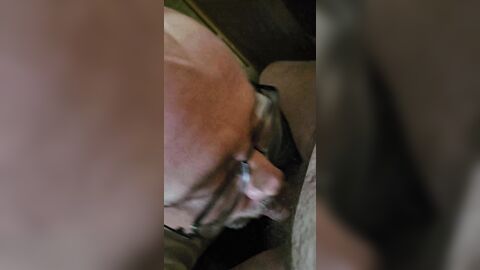 Andrew feeds straight from his cock
