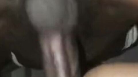 Black cock for me