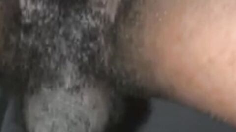 Black cock for me