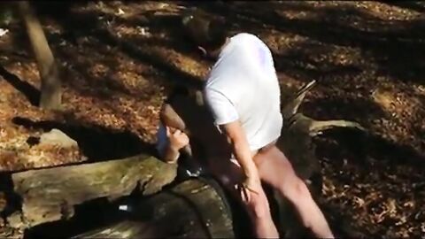 Osos amateur se divierten al aire libre