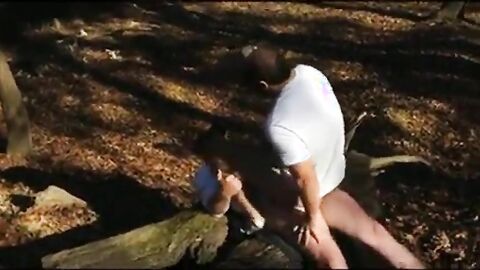 Osos amateur se divierten al aire libre