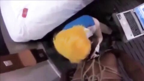 Sissy Beach Interracial Anal