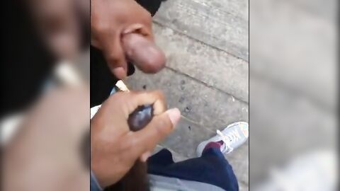 Black amateurs stroke big cocks outdoors